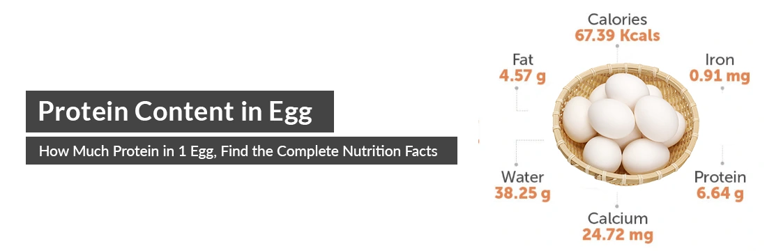 Protein Content in Egg: How Much Protein in 1 Egg, Find the Complete Nutrition Facts